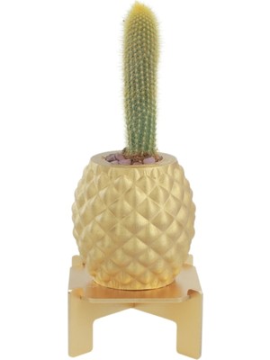 Stein Kohle Ayaklı Saksı Ahşap Büyük Boy 1 Adet Altın Renk Uygulamalı Ananas Model