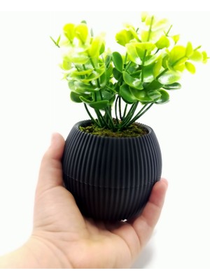 Mini Saksıda Yapay Çiçek Bitki Şimşir Gerçek Taş Yosunlu Toplam 18 cm Dekoratif Masa Raf Çiçeği