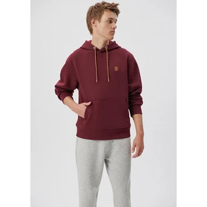 Mavi Logo Nakışlı Kapüşonlu Bordo Sweatshirt 065809-70426