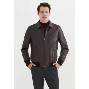 Pierre Cardin Erkek Suni Deri Mont