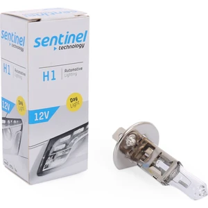 H1 AMPÜL 12 V 55 W    2 ADET