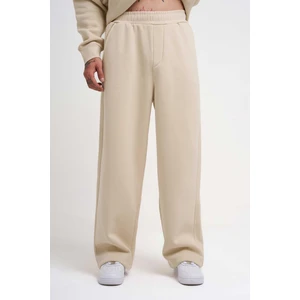 Erkek Baggy Oversize Açık Bej Eşofman Altı