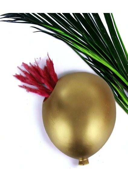 Saksı Duvar Saksısı Dekoratif Saksı Balon Saksı Model 3