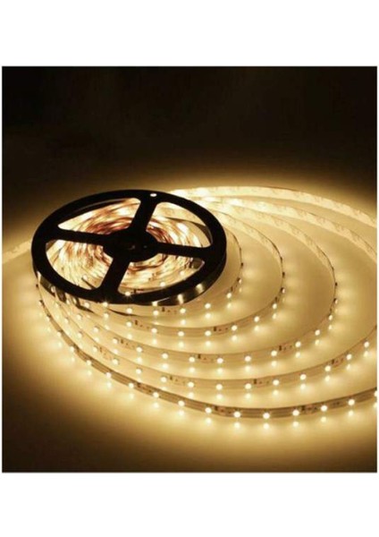 CT-4488 10 Çip Şerit LED Iç Mekan Günışığı