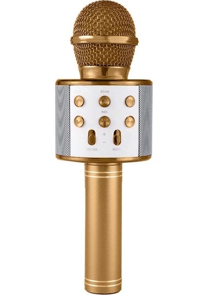 TT_WS-858 Mikrofonlu Hoparlörlü Bluetooth /Tf Kart/Usb Destekli Karaoke