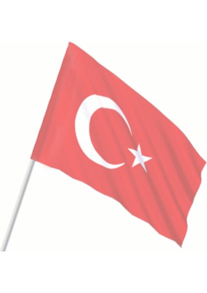 Raşel Kumaş Sopalı Türk Bayrağı 35 x 60 cm 3 Adet fiyatları