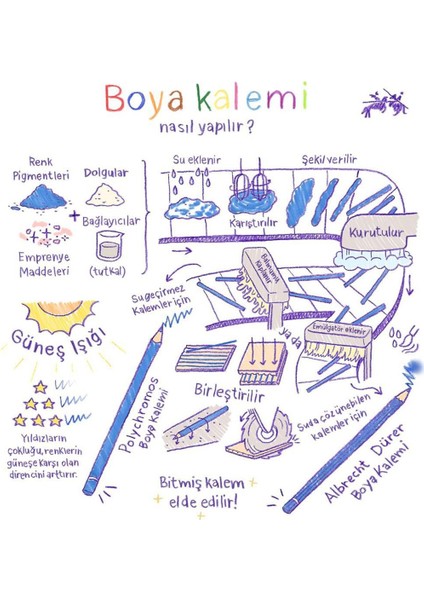 Kuru Boya Tri Winner Jumbo Tam Boy 8 Renk 518708