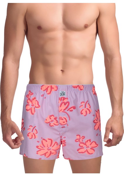 Boxer