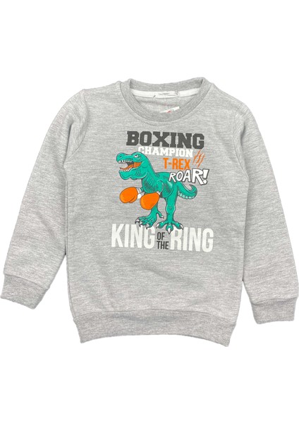 Erkek Bebek 2 Iplik Şardonlu Sweatshirt Dinozor Baskılı