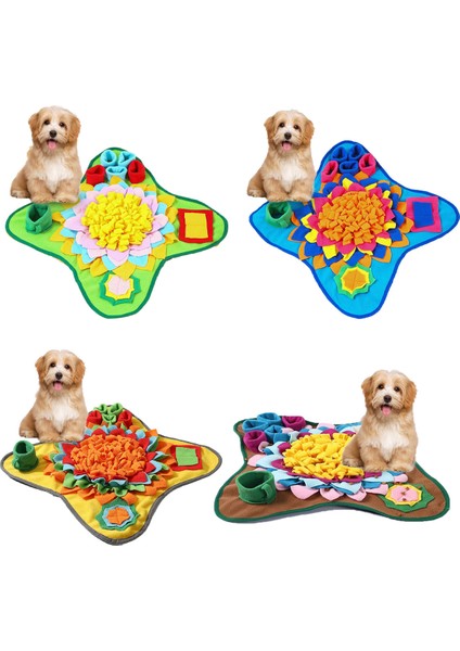 Köpek Koku Eğitim Matı (Yurt Dışından) fiyatları