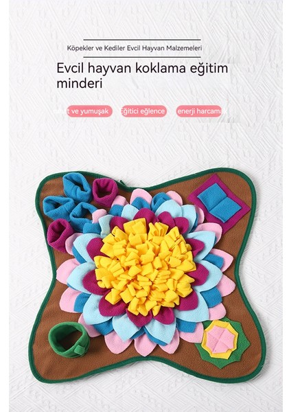 Köpek Koku Eğitim Matı (Yurt Dışından) fırsatları