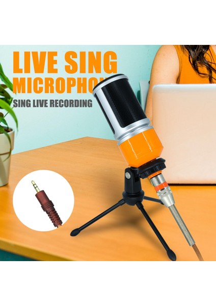 Mikrofon 3.5mm Ev Stereo Mıc Masaüstü Standı Pc Video Skype Sohbet Oyun Podcast Kayıt Mikrofonu (Yurt Dışından)