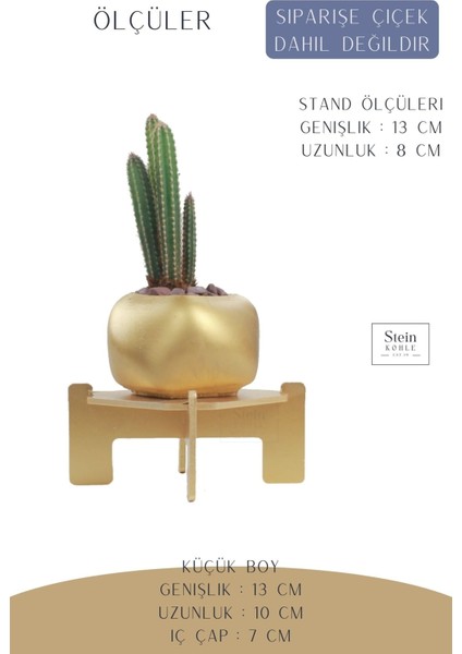 Ayaklı Saksı Ahşap Dekoratif Kaktüs Saksısı 1 Adet Uygulamalı Spiral Oval Model