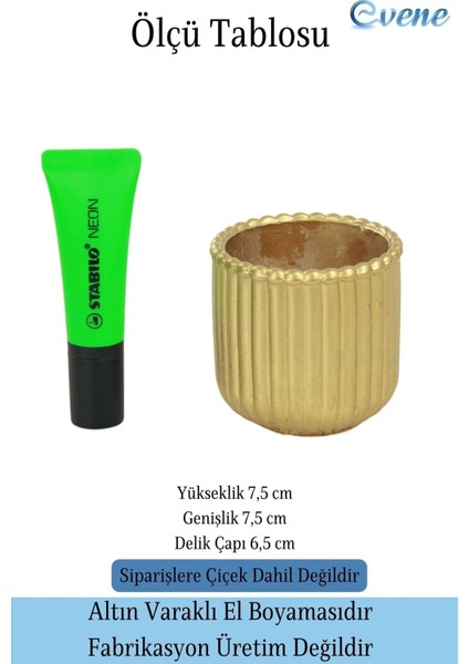 Mini Çiçek Saksı Küçük Sukulent Kaktüs Saksısı Vintage Düz Çizgili Model fiyatları