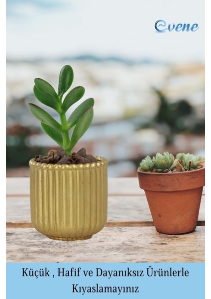 Mini Çiçek Saksı Küçük Sukulent Kaktüs Saksısı Vintage Düz Çizgili Model modelleri