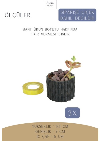 Dekoratif Saksı Minik Kaktüs Saksısı Siyah Renk 3 Adet Saksı Seti Baklava Model