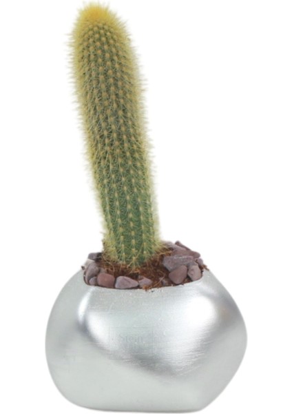 Çiçek Saksısı Büyük Boy 1 Adet Gümüş Renk Uygulamalı Spiral Oval Model