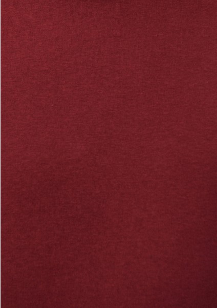 Erkek Kapüşonlu Kırmızı Basic Sweatshirt 0610937-85633