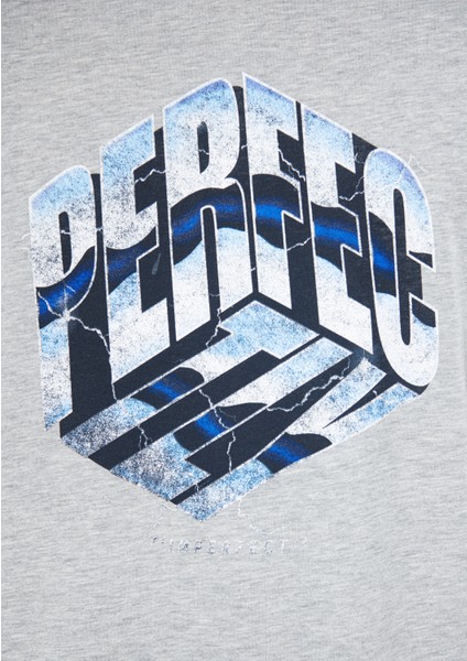 Erkek Perfectly Baskılı Gri Tişört 0611384-80196