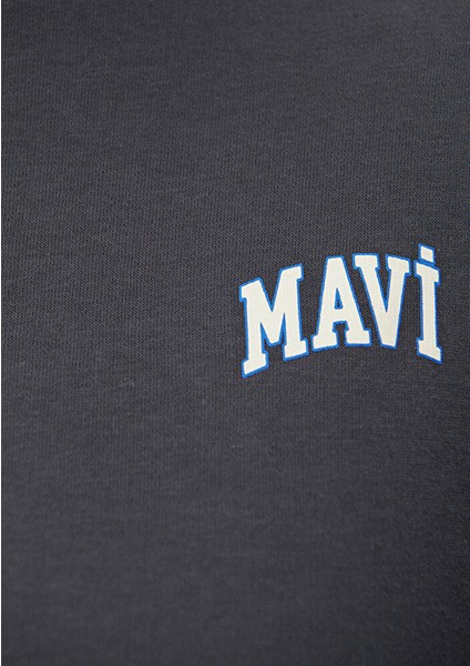 Kadın Mavi Logo Baskılı Gri Crop Sweatshirt 1611601-70763