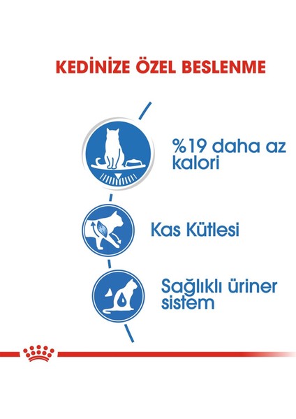 Ultra Light Kedi Konservesi 85GR 4'lü Paket