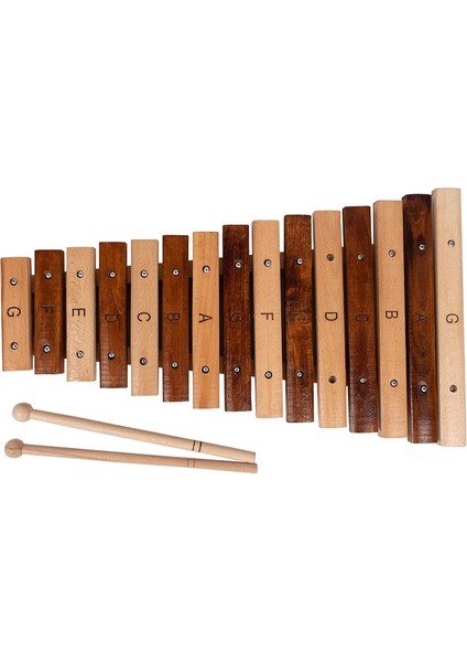 Profesyonel Ritim Orff Set 5 Parça Perküsyon