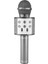 TT_WS-858 Mikrofonlu Hoparlörlü Bluetooth /Tf Kart/Usb Destekli Karaoke 1