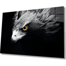 Rosyvien Kartal Portresi Vahşi Doğa Manzarası Cam Tablo, Ev ve Ofis Duvar Dekoru, Hediyelik, Temperli Cam