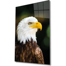 Rosyvien Kartal Hayvan Portresi Vahşi Doğa Manzarası Cam Tablo, Ev Ofis Duvar Dekoru, Hediyelik, Temperli Cam