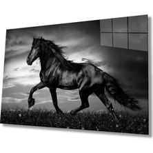 Rosyvien At Portresi Vahşi Doğa Manzarası Cam Tablo, Ev ve Ofis Duvar Dekoru, Hediyelik, Temperli Cam