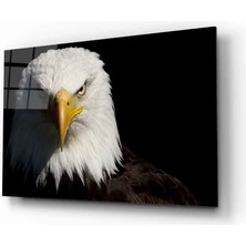 Rosyvien Kartal Portresi Vahşi Doğa Manzarası Cam Tablo, Ev ve Ofis Duvar Dekoru, Hediyelik, Temperli Cam