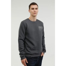 Lumberjack A10144154508010 101441545 ml Nature B.p 16CG555 3pr Lumberjack Erkek Sweat Antrasit