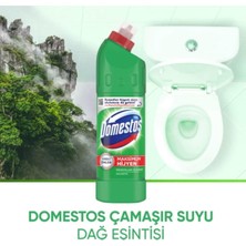 Domestos Fairy Cif Temizlik Seti