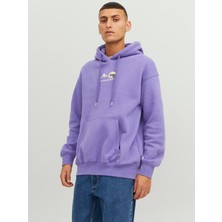 Jack & Jones Nakış Işlemeli Sweatshirt -Silverlake