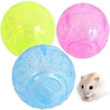 Carno Hamster Egzersiz Topu 11.5 cm (1 Adet)