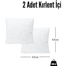 Soub Sleep 2 Adet Kırlent Içi 400 gr 43X43 cm