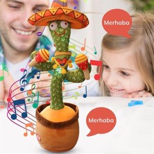 Dans Eden Kaktüs