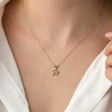 Hems Jewellery Altın Mini Yıldız Tek Taş Kolye