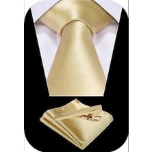 Tezzgelsin Erkek Saten Kravat Mendil ve Gold Çelik Kravat Iğne Set
