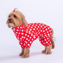 Pawstar Dots Red Peluşlu Su Geçirmez Küçük Irk Köpek Yağmurluk Tulum