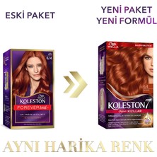 Wella Koleston Supreme Kit 6/4 Kızıl Bakır