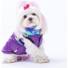 Pawstar Lacivert Diametro Su Geçirmez Küçük Irk Köpek Yağmurluğu