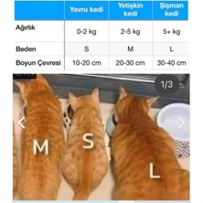 Hebmeyy Kedi Tasma, Ayarlanabilir ve Kediye Özel Kedi Boyun Tasması