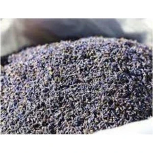 Lavanta Kokulu Köy Kuyucak Yeni Hasat Lavanta Kurusu 250 gr