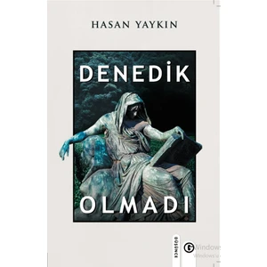 Denedik Olmadı - Hasan Yaykın (İmzalı)