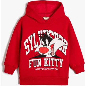 Kız Çocuk Sweatshirt Kırmızı 4WKG10514AK