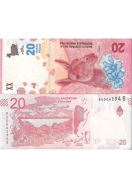 Arjantin 20 Pesos Yabancı Kağıt Para Çil Koleksiyon Para