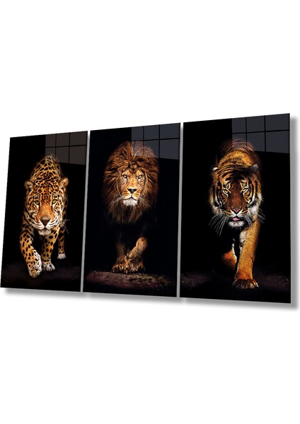 Jaguar, Aslan ve Kaplan 3 Parça Set Cam Tablo, Vahşi Hayvan Portresi, Hediyelik Ev Ofis Duvar Dekoru