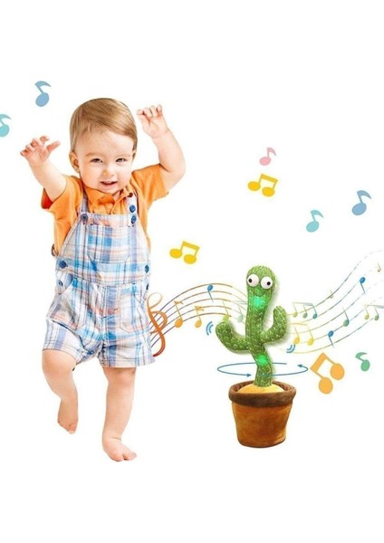 Dans Eden Kaktüs fiyatları