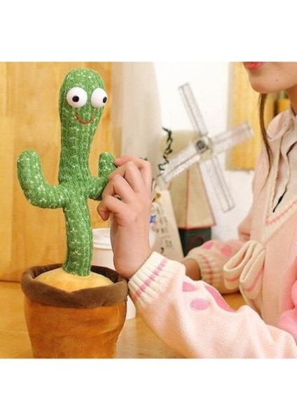 Dans Eden Kaktüs modelleri